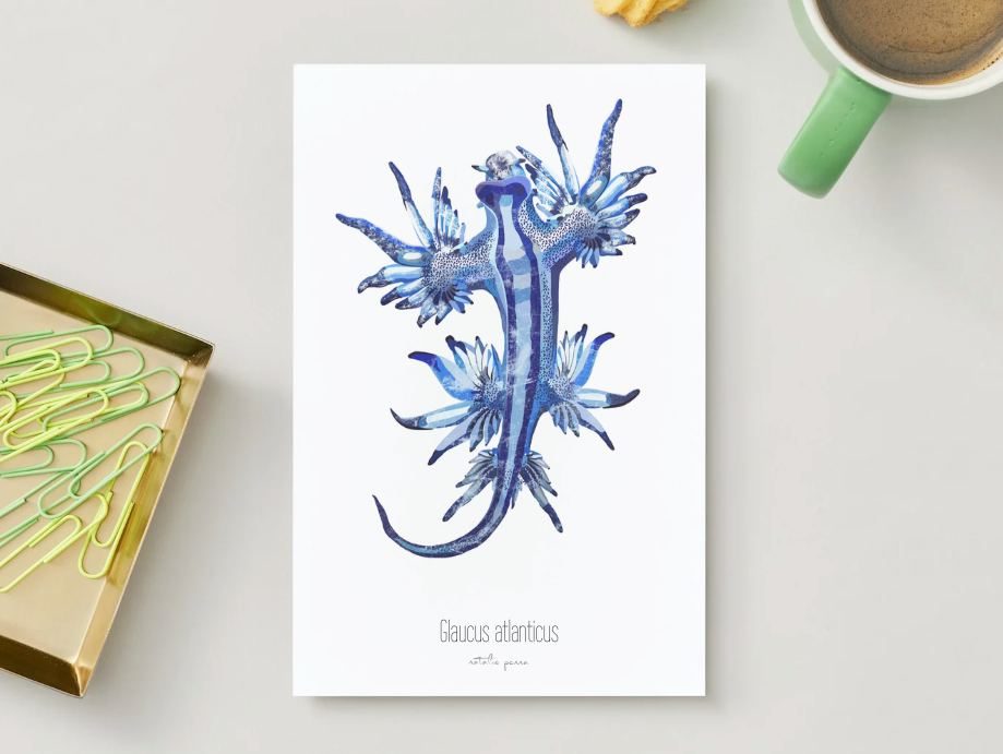 Free Print | Show Me Your Nudies